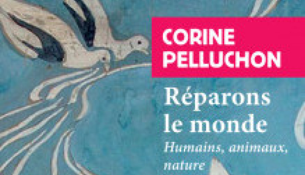 Détail de couverture du livre de Corine Pelluchon: Réparons le monde / ©Editions Payot-Rivages