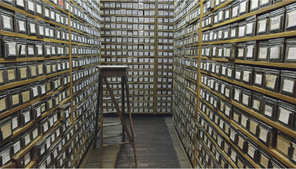 Plus de 50 000 variétés de graines de blé sont stockées à l’Institut Vavilov de Saint-Pétersbourg. / © Mario Del Curto