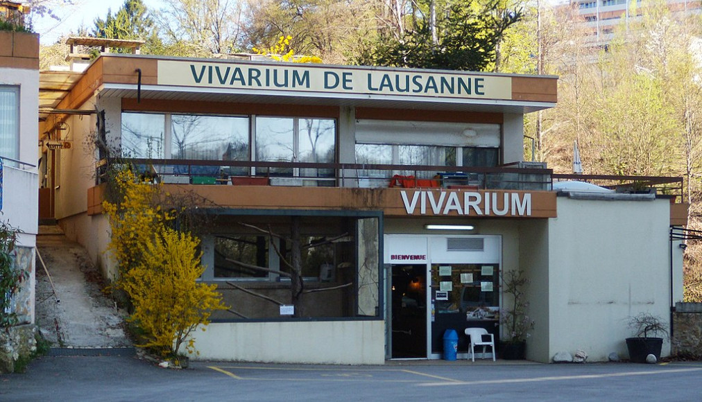 Le Vivarium de Lausanne en 2011 Le Vivarium de Lausanne en 2011 / ©Gzzz, CC BY-SA 3.0 Wikimedia Commons
