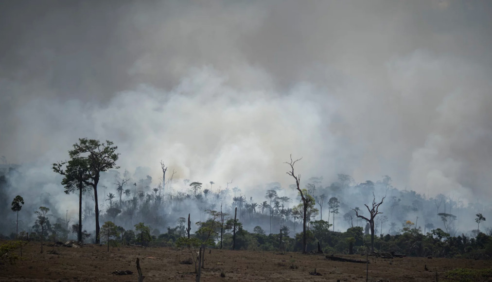 Incendies à Altamira, dans la région de Pará, au Brésil, le 27 août 2019. Incendies à Altamira, dans la région de Pará, au Brésil, le 27 août 2019. / © RNS/AP Photo/Leo Correa